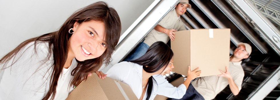 Professional Removalists Rosedale NSW